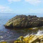 Rock in the Sea